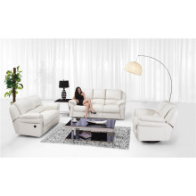 Living Room Genuine Leather Sofa (811)